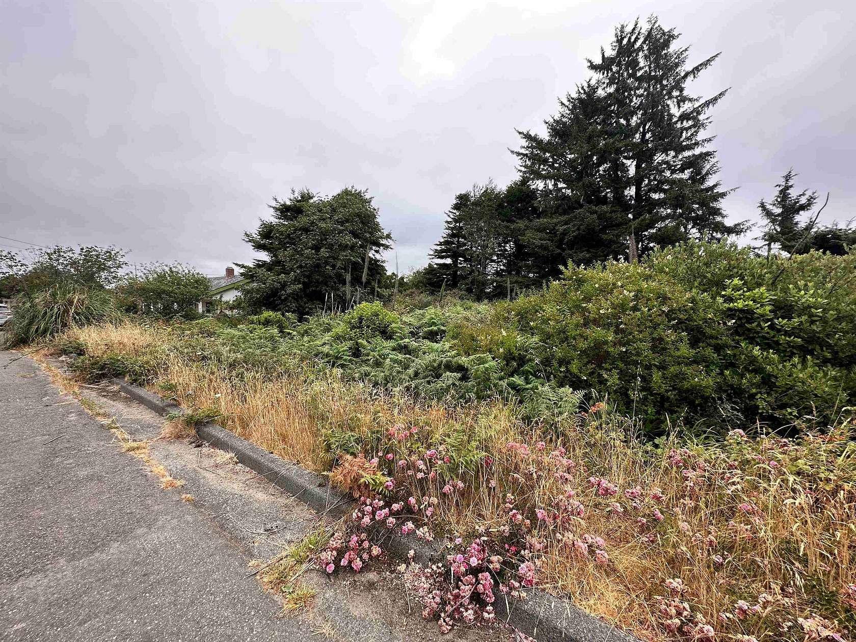 0.17 Acres of Residential Land for Sale in Crescent City, California