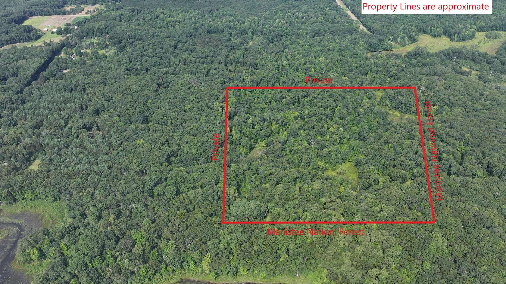 40 Acres of Recreational Land for Sale in Branch Township, Michigan