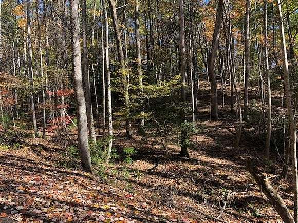 0.73 Acres of Residential Land for Sale in Ellijay, Georgia