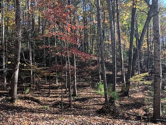 0.76 Acres of Residential Land for Sale in Ellijay, Georgia