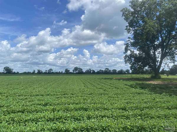 34.4 Acres of Land for Sale in Century, Florida