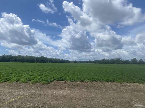 31.43 Acres of Land for Sale in Century, Florida