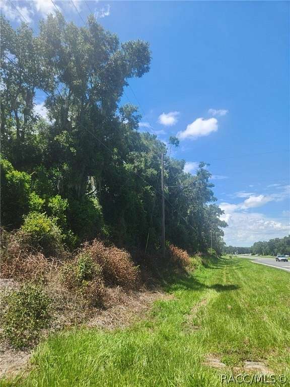 0.49 Acres of Land for Sale in Belleview, Florida