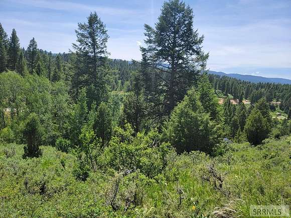 2.3 Acres of Residential Land for Sale in Irwin, Idaho