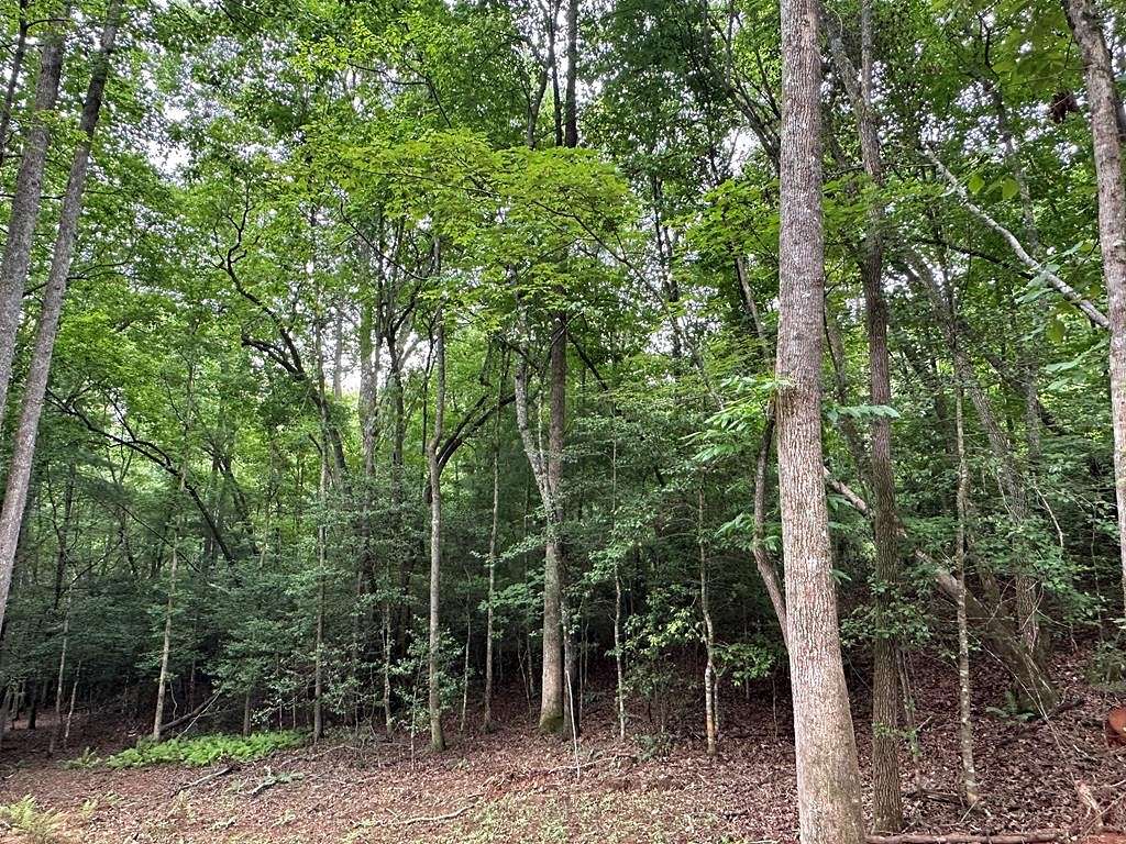 Residential Land for Sale in Murphy, North Carolina