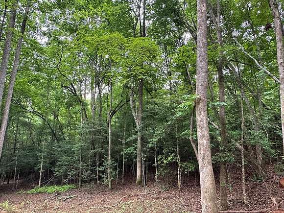 Residential Land for Sale in Murphy, North Carolina