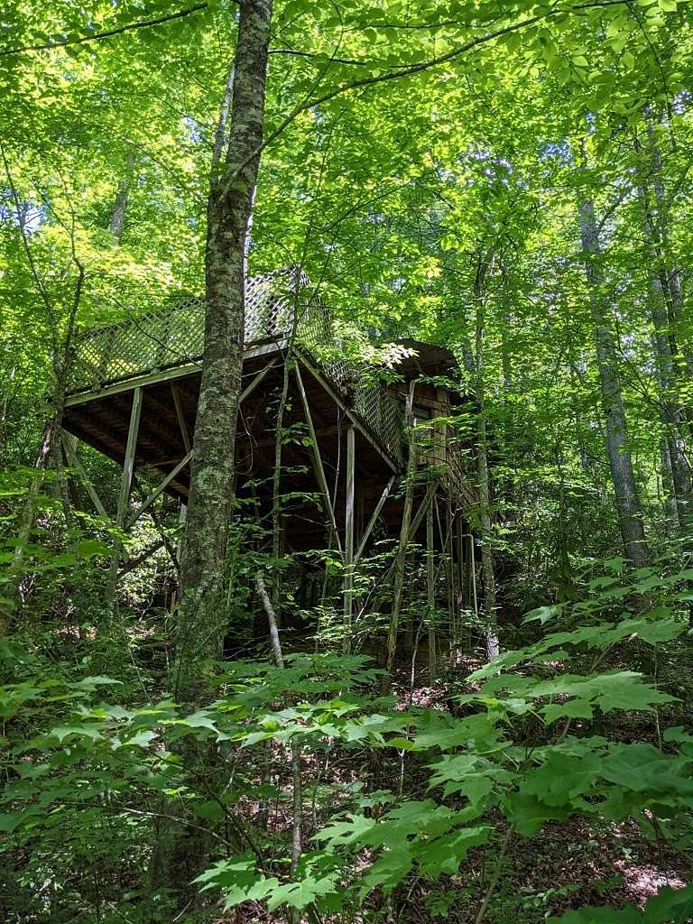 3.38 Acres of Residential Land for Sale in Robbinsville, North Carolina