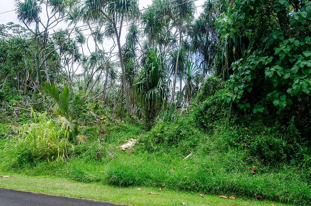 0.209 Acres of Residential Land for Sale in Pahoa, Hawaii