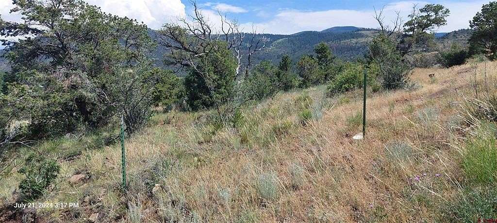 0.63 Acres of Residential Land for Sale in South Fork, Colorado