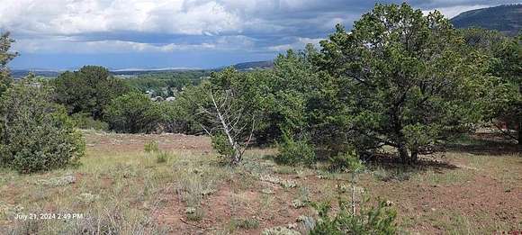 0.81 Acres of Residential Land for Sale in South Fork, Colorado