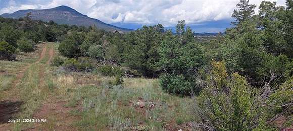 0.74 Acres of Residential Land for Sale in South Fork, Colorado