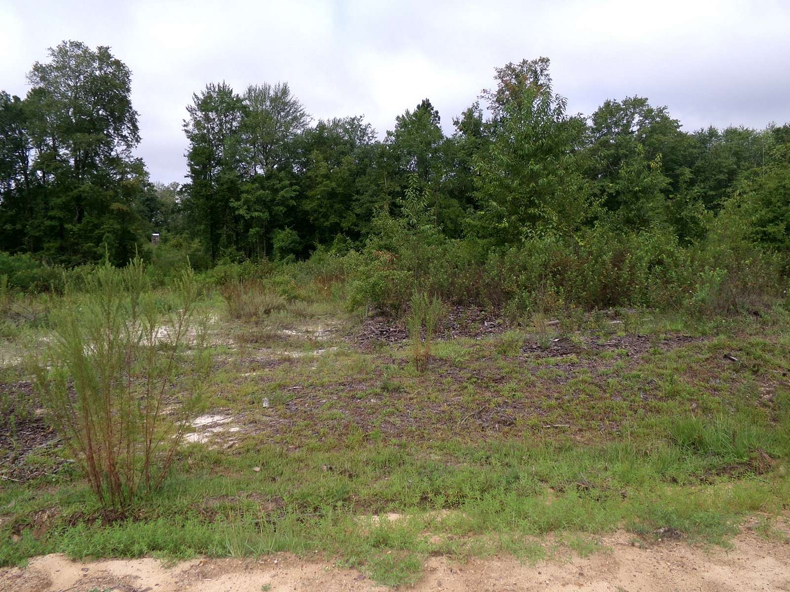 1 Acre of Residential Land for Sale in Swainsboro, Georgia