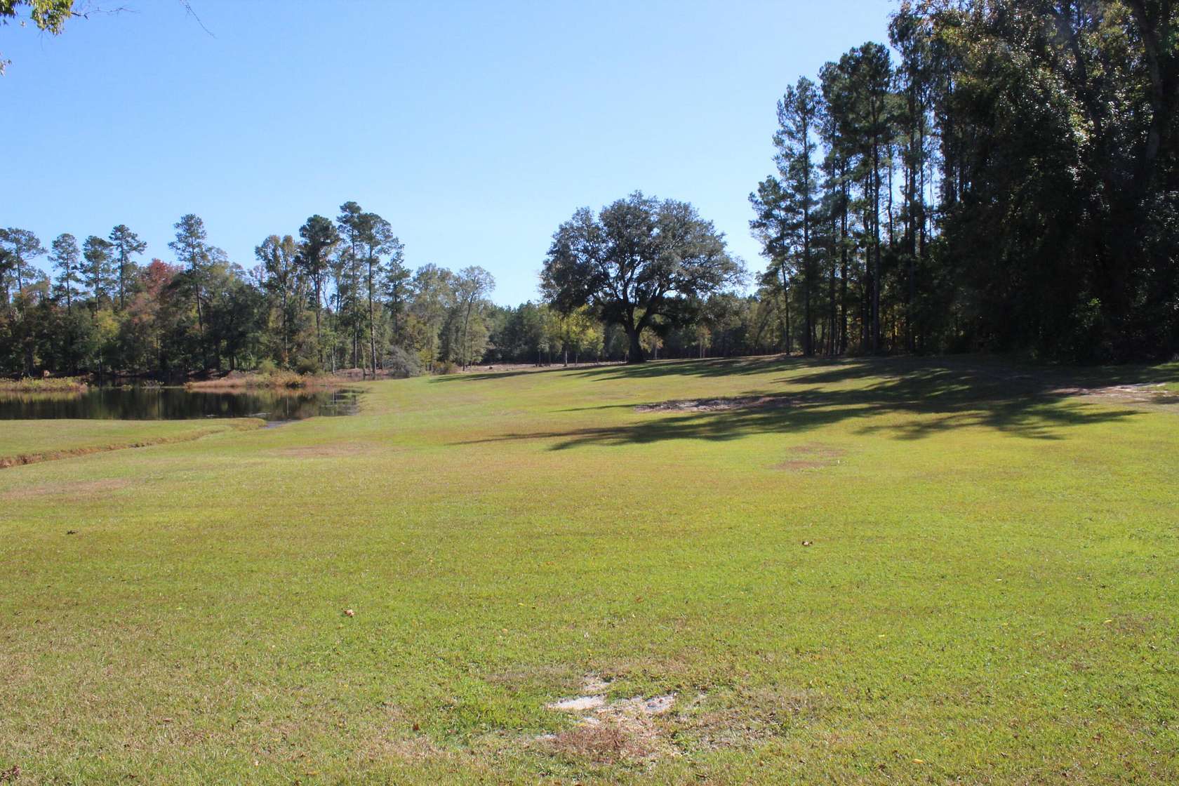 18.85 Acres of Recreational Land for Sale in Orangeburg, South Carolina