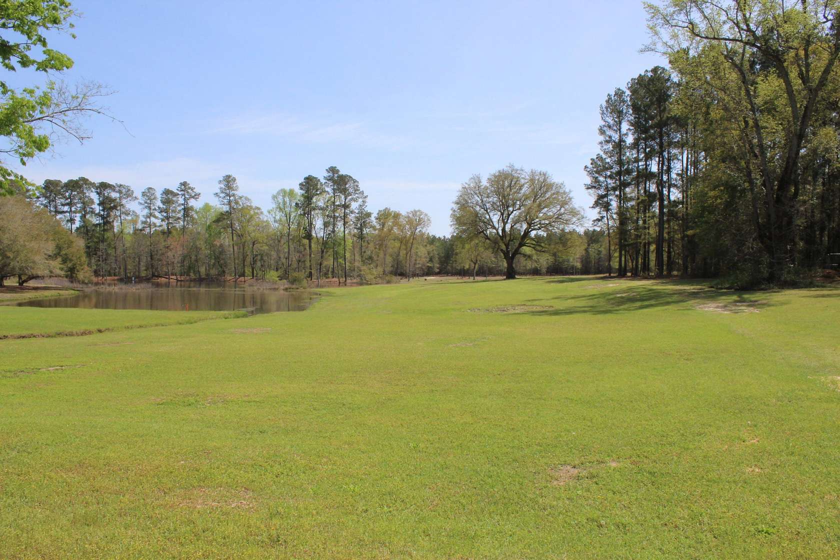 18.9 Acres of Recreational Land for Sale in Orangeburg, South Carolina