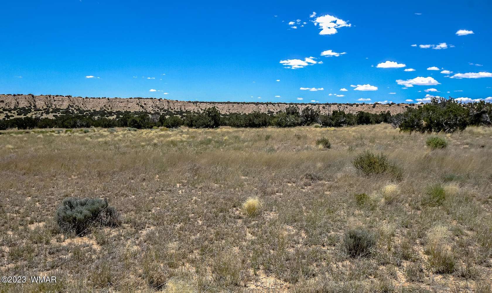 36.5 Acres of Land for Sale in Chambers, Arizona