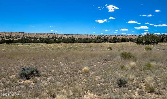 36.5 Acres of Land for Sale in Chambers, Arizona