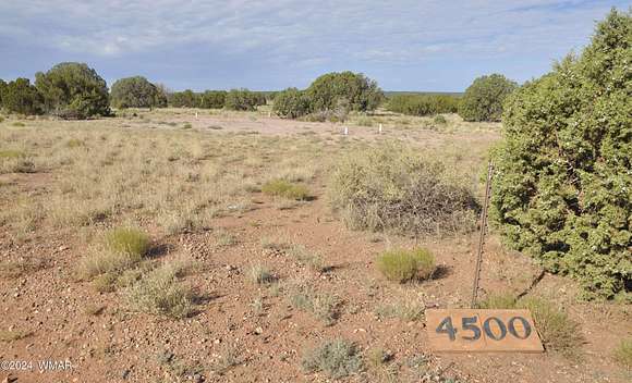 1.12 Acres of Residential Land for Sale in Snowflake, Arizona