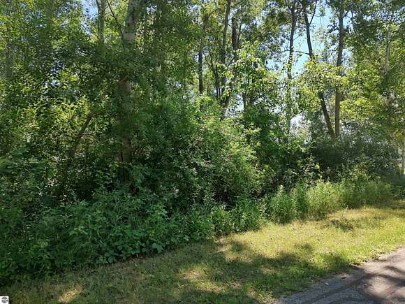 0.28 Acres of Residential Land for Sale in Lake Isabella, Michigan