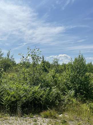 14 Acres of Land for Sale in Jonesboro, Maine