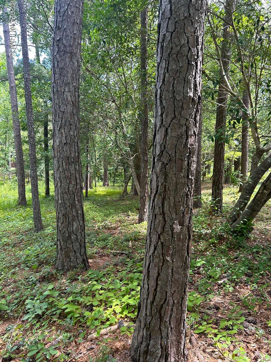 0.39 Acres of Residential Land for Sale in Bolivia, North Carolina