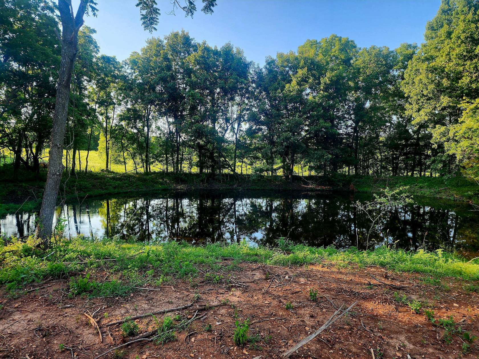 56.1 Acres of Recreational Land for Sale in Republic, Missouri