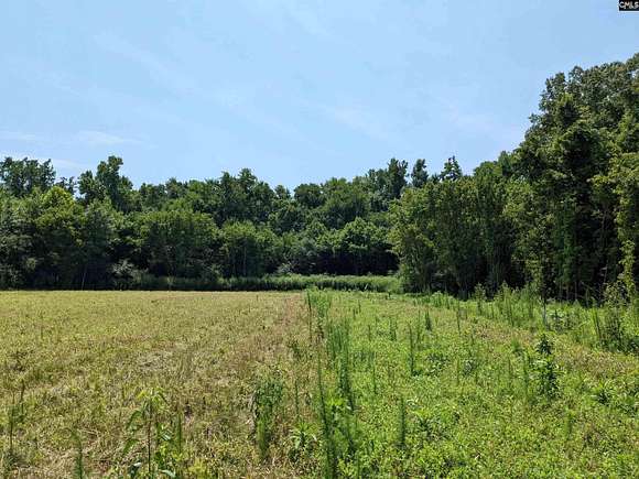 87.4 Acres of Recreational Land for Sale in Jefferson, South Carolina