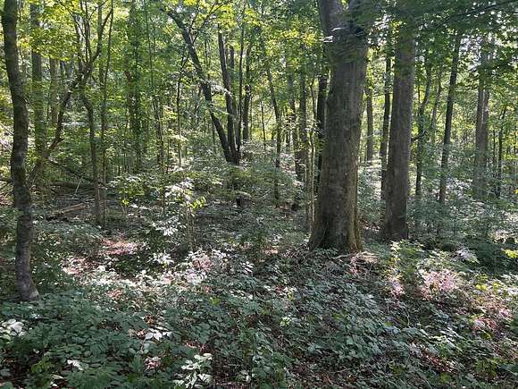 0.77 Acres of Land for Sale in Fountain Run, Kentucky