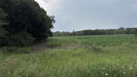 11.04 Acres of Land for Sale in Stacy, Minnesota