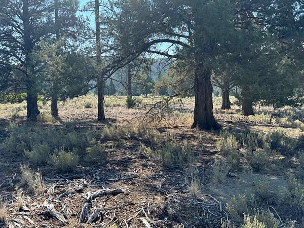 0.62 Acres of Land for Sale in Weed, California