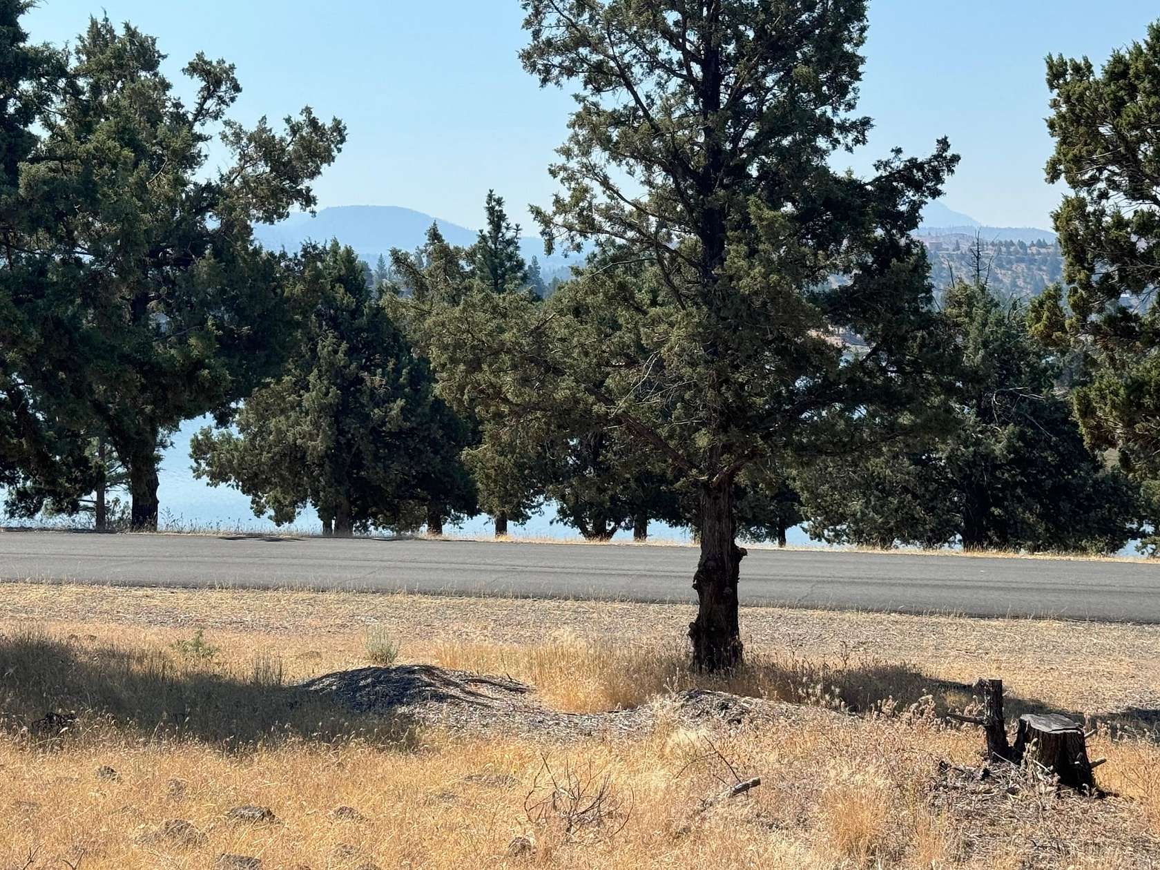 0.18 Acres of Residential Land for Sale in Weed, California