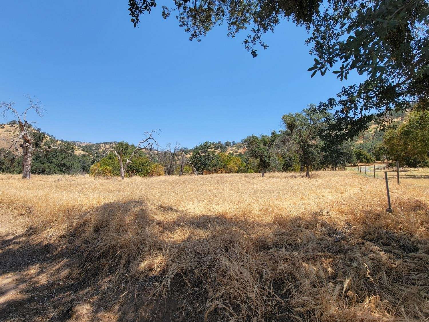 5.01 Acres of Residential Land for Sale in Squaw Valley, California