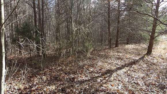 9.75 Acres of Residential Land for Sale in Spencer, Tennessee