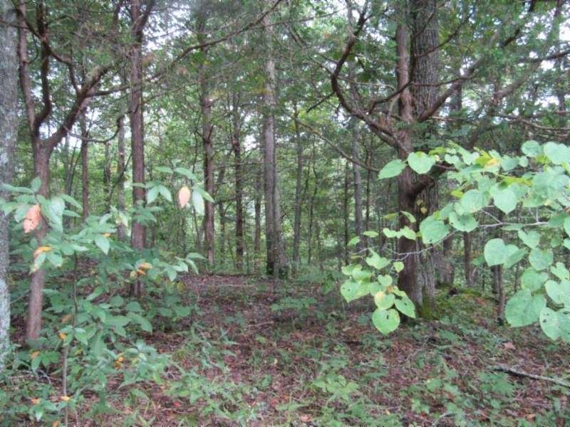 5.017 Acres of Residential Land for Sale in Celina, Tennessee