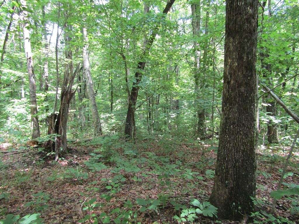 3.96 Acres of Residential Land for Sale in Monterey, Tennessee
