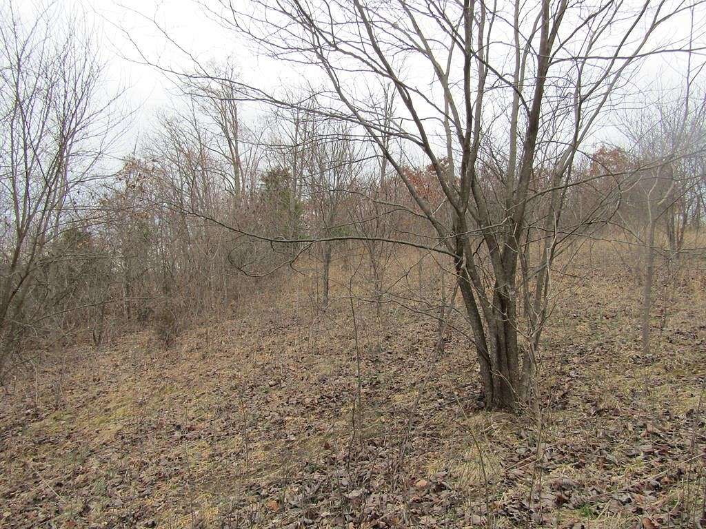 43.45 Acres of Land for Sale in Jamestown, Tennessee