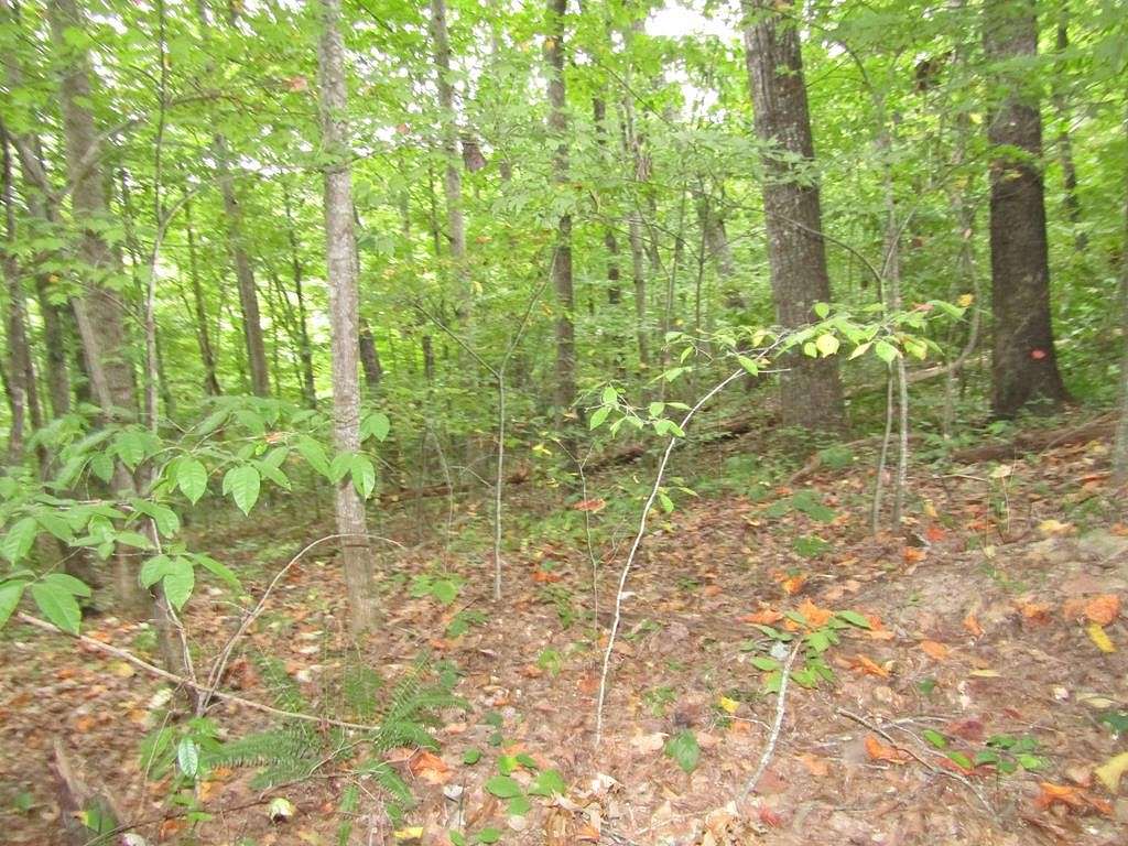 5.16 Acres of Land for Sale in Jamestown, Tennessee