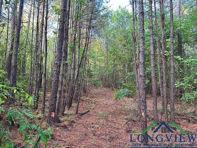 22 Acres of Recreational Land for Sale in Gilmer, Texas