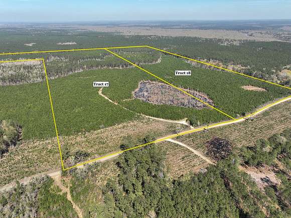 50 Acres of Recreational Land for Sale in Spurger, Texas