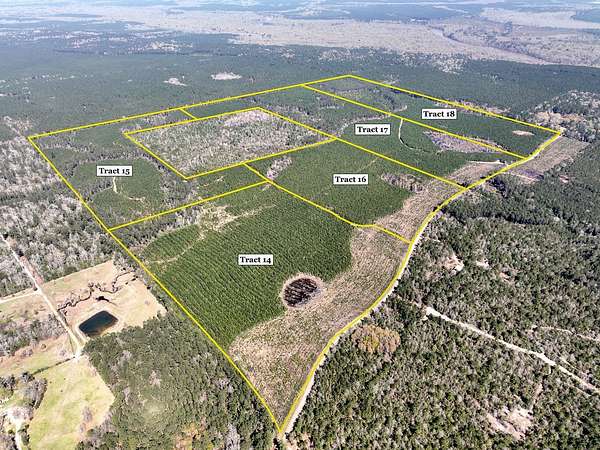 50 Acres of Recreational Land for Sale in Spurger, Texas