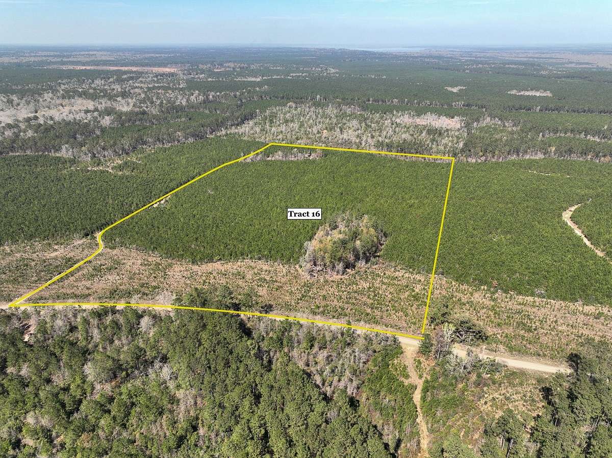 40 Acres of Recreational Land for Sale in Spurger, Texas