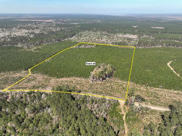 40 Acres of Recreational Land for Sale in Spurger, Texas