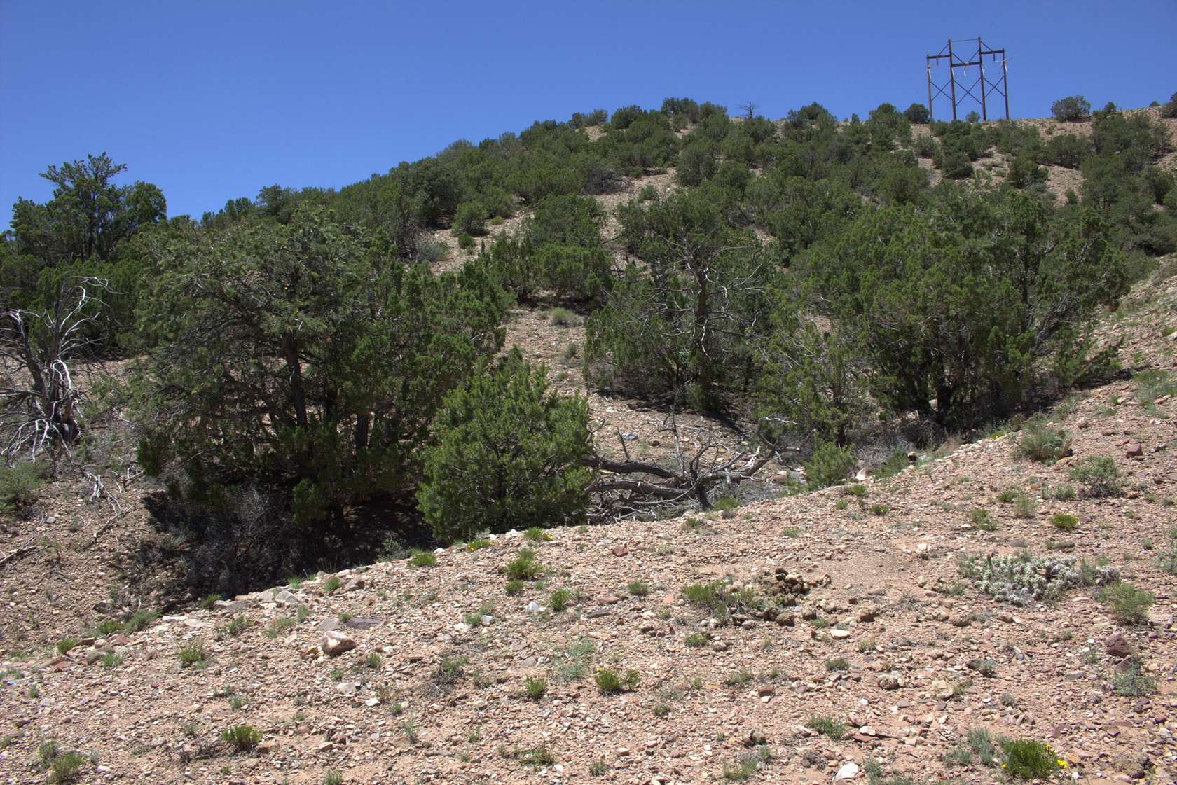 0.92 Acres of Residential Land for Sale in Placitas, New Mexico ...