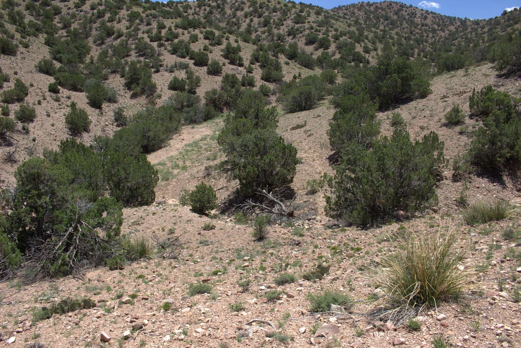 0.92 Acres of Residential Land for Sale in Placitas, New Mexico