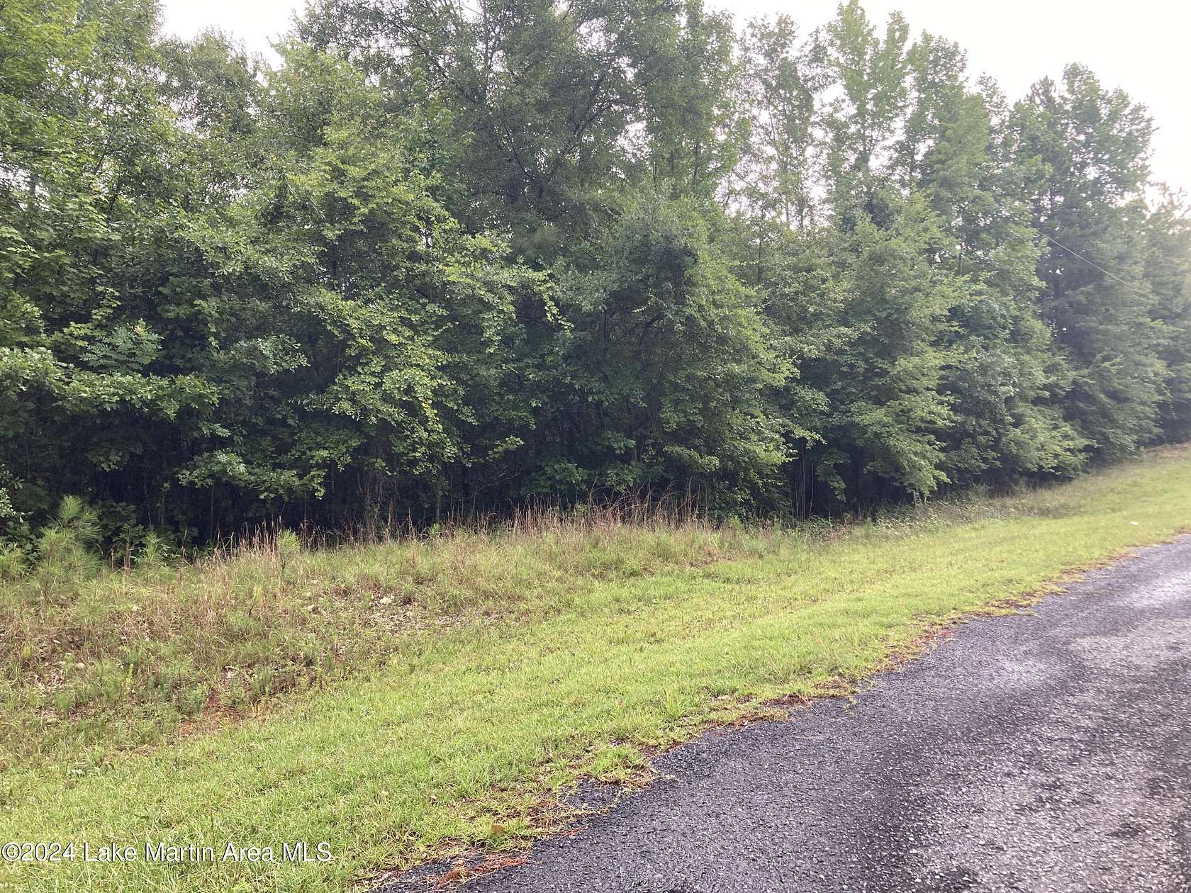 9.8 Acres of Residential Land for Sale in Dadeville, Alabama