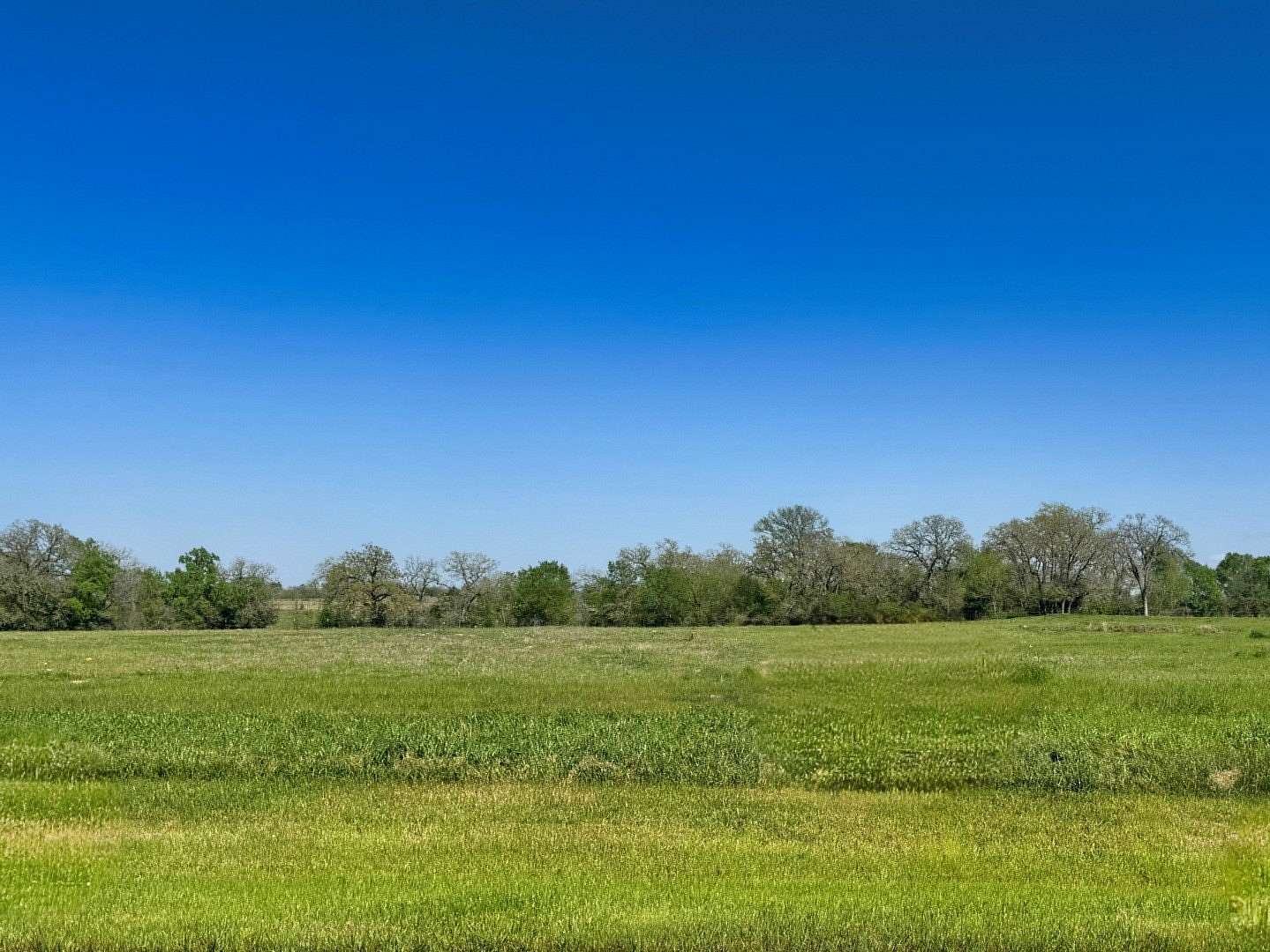 1 Acre of Residential Land for Sale in Iola, Texas
