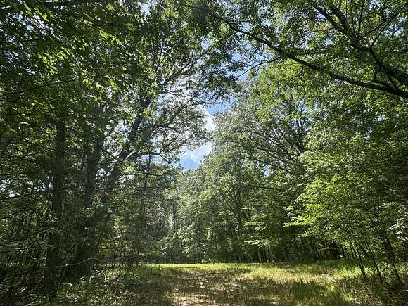 94 Acres of Recreational Land for Sale in Courtland, Mississippi