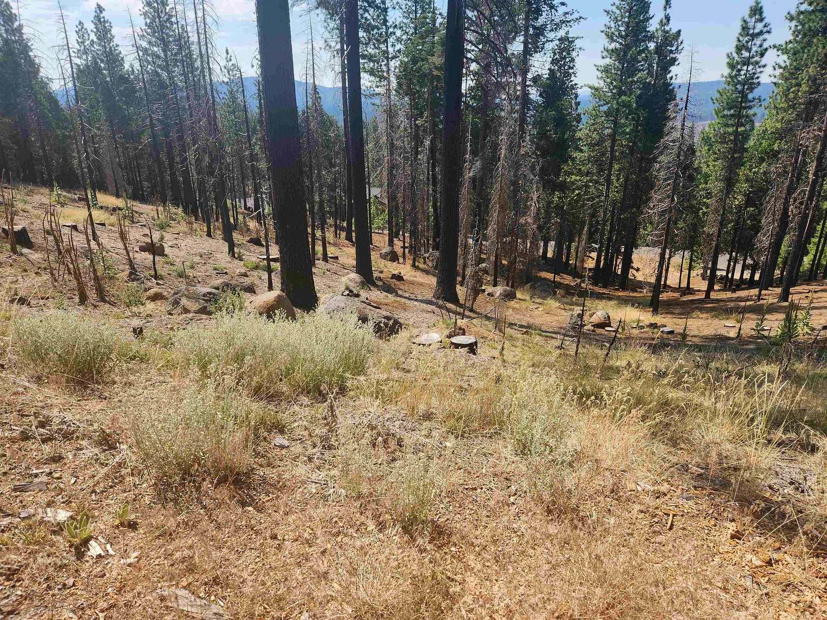 1.31 Acres of Residential Land for Sale in Lake Almanor West, California