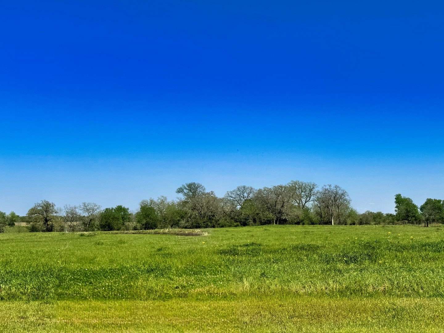1 Acre of Residential Land for Sale in Iola, Texas