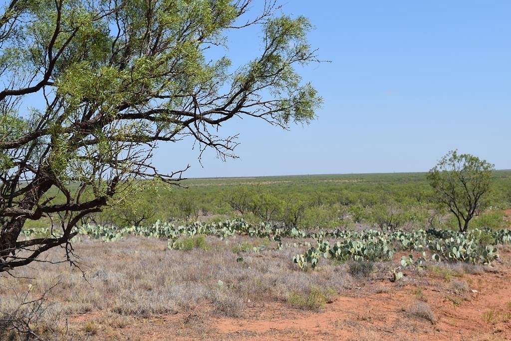 660 Acres of Agricultural Land for Sale in Westbrook, Texas