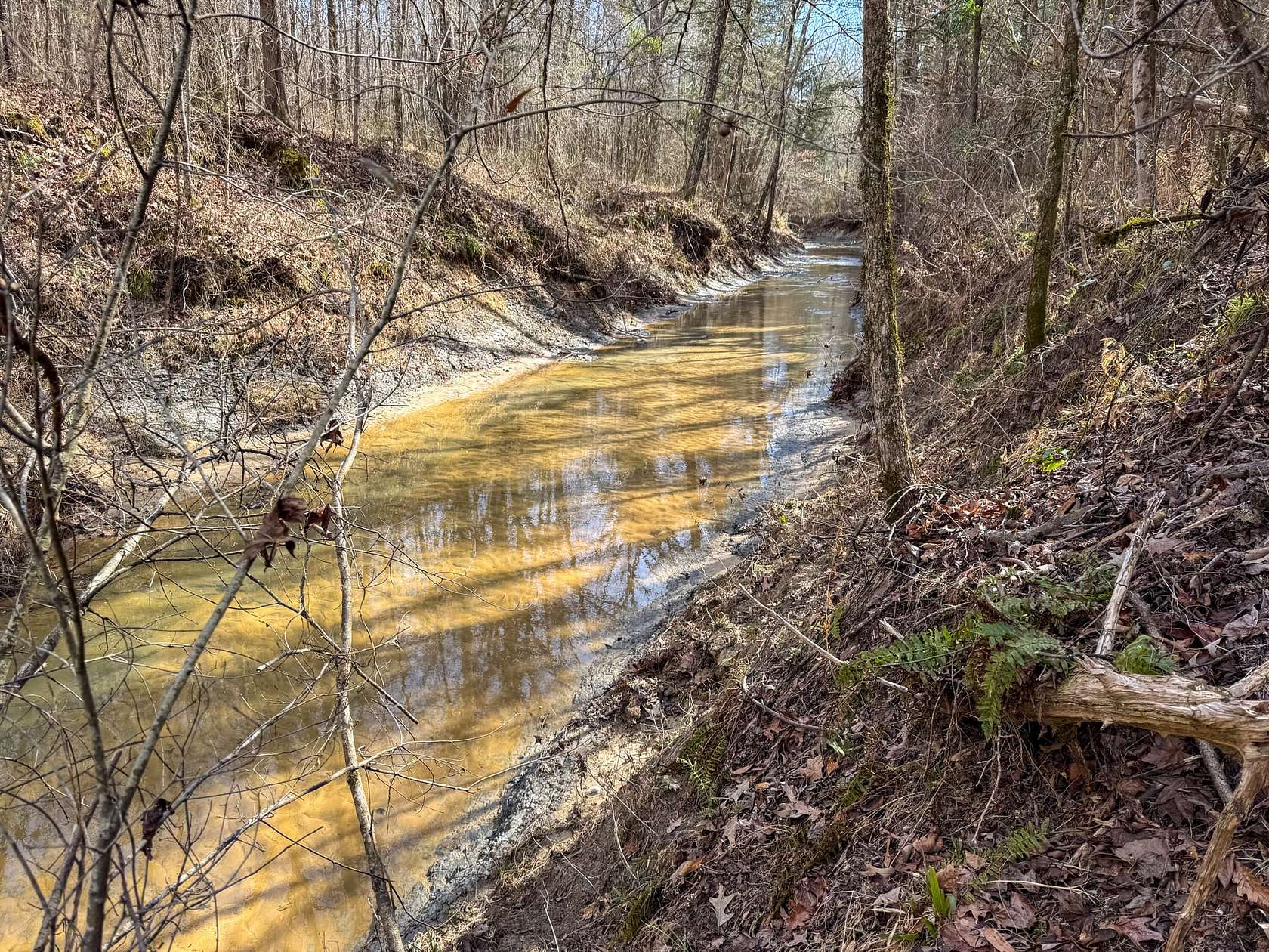 660 Acres of Recreational Land for Sale in West Point, Mississippi